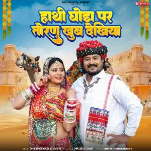 Hathi Ghoda Par Toran Khub Dekhiya image