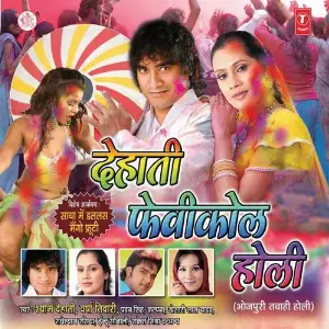 Dehati Fevicol Holi image
