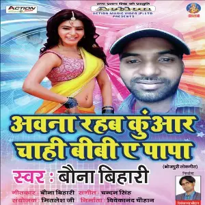 Ab Na Rahab Kuwar Chahi Bibi Ae Papa image