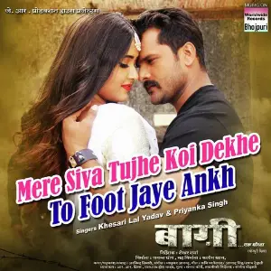 Mere Siva Tujhe Koi Dekhe To (From baaghi - Ek Yodha) image