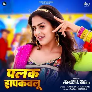 Palak Jhapkavlu image