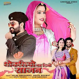 Dhokliyo Mat Dijo Sajan image