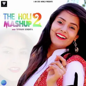 The Holi Mashup 2 image