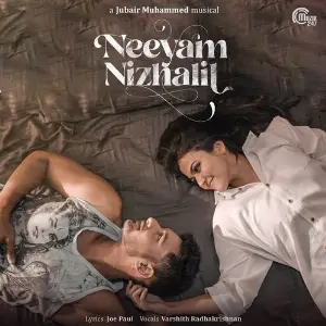 Neeyam Nizhalil image