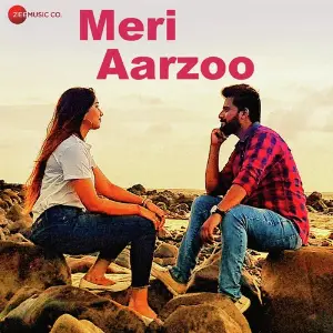 Meri Aarzoo image