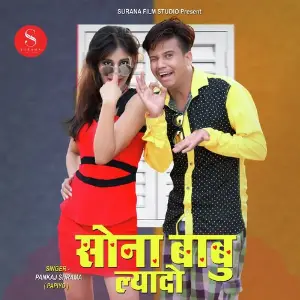 Mare Sona Babu Laido image