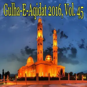 Gulha-e-Aqidat 2016, Vol. 45 image