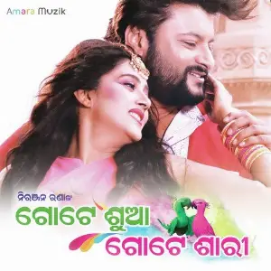 Gote Suaa Gote Sari image