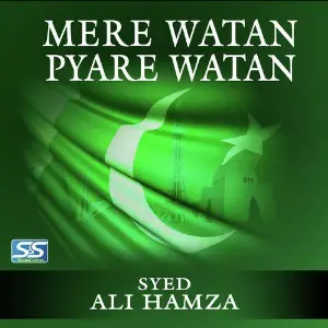 Mere Watan Pyare Watan - Single image