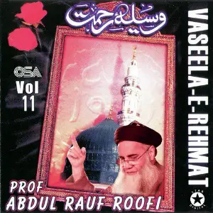 Vaseela-e-Rehmat, Vol. 11 image