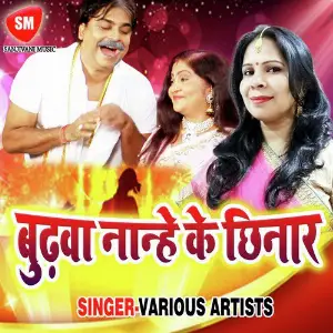Budhwa Nanhe Ke Chhinar image
