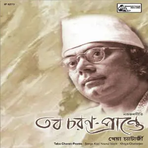 Taba Charan Prante image