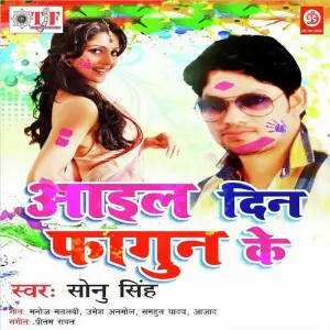 Aail Din Phagun Ke image