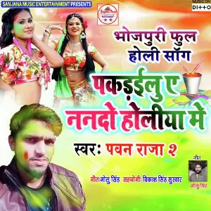 Pakarailu Ye Nando Holiya Me image