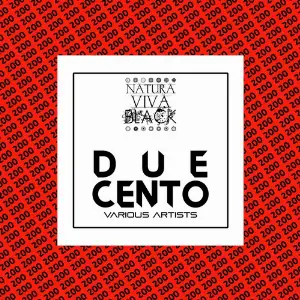 Duecento image