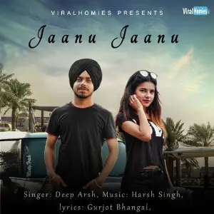 Jaanu Jaanu image