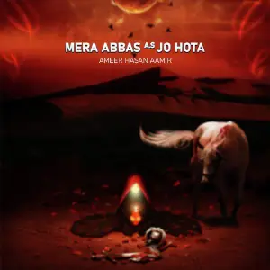 Mera Abbas A.s Jo Hota image
