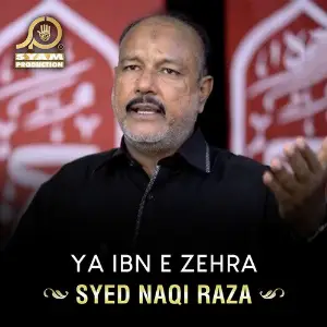 Ya Ibn E Zehra - Single image