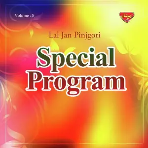 Special Program, Vol. 5 image