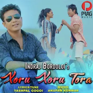 Xoru Xoru Tora image