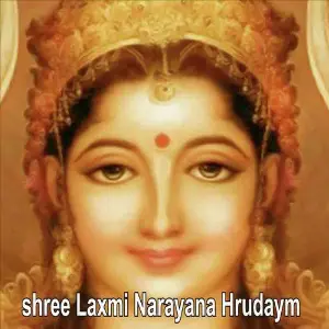 Shree Laxmi Narayana Hrudaym image