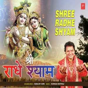 Shree Radhe Shyam image