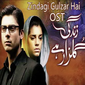 Zindagi Gulzar Hai image