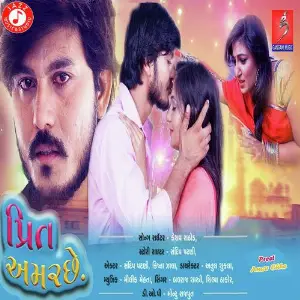 Preet Amar Chhe image