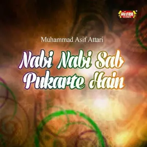 Nabi Nabi Sub Pukarte Hain image