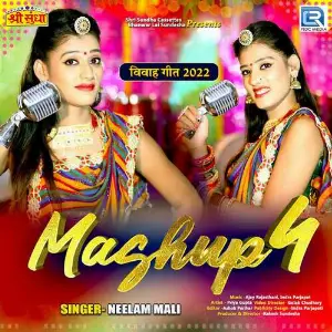 Mashup 4 image