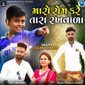 Maro Rom Kare Tara Rakhvala image