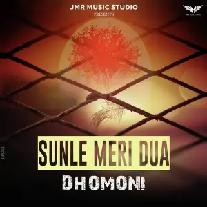 Sunle Meri Dua image