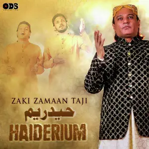 Haiderium - Single image