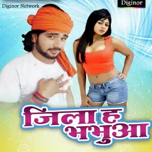 Jila Ha Bhabhua image