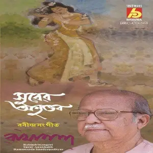 Surer Anubhabh image