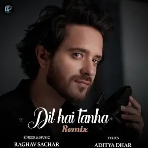 Dil Hai Tanha Remix image