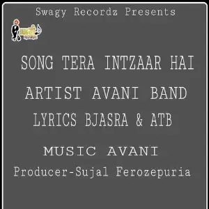 Tera Intzaar Hai image