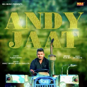 Andy Jaat image
