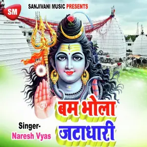 Bam Bhola Jata Dhari image