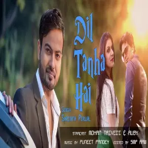 Dil Tanha Hai image