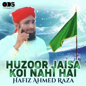 Huzoor Jaisa Koi Nahi Hai - Single image
