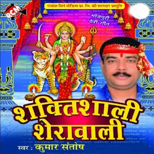 Shaktishali Sherawali image