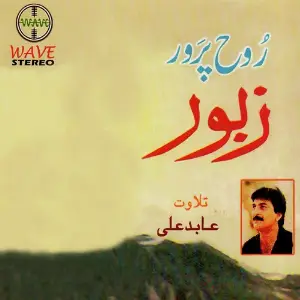 Rooh Parwer Zaboor, Vol. 1 image