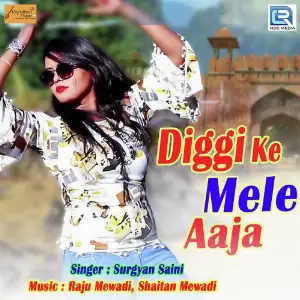 Diggi Ke Mele Aaja image