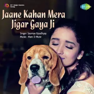 Jaane Kahan Mera Jigar Gaya Ji image