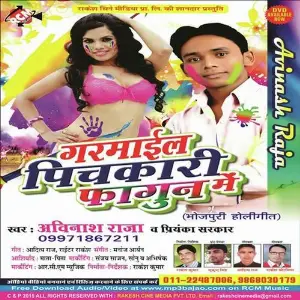 Garmail Pichkari Fagun Me image