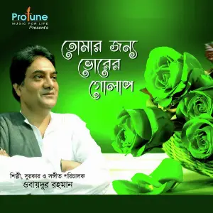 Tomar Jonno Bhorer Golap image