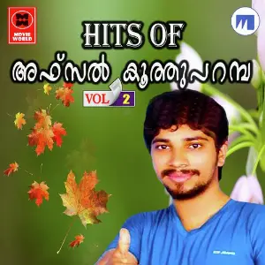 Hits Of Afsal Koothuparambu - Vol. 2 image