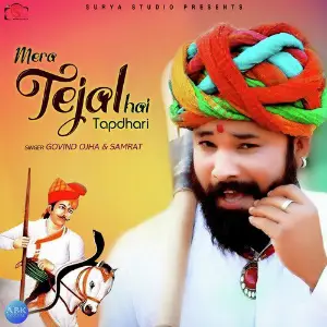 Mera Tejal Hai Tapdhari - Single image