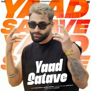 Yaad Satave image